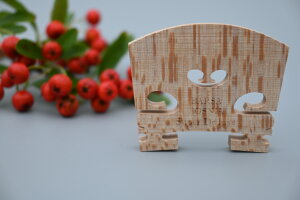 Geige / Violine