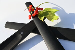 Geige / Violine