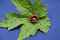Buchs-Endknopf mit Buchs-Pin "Elgandal" Violine