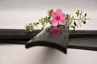 Alternatives Cellogriffbrett "Ebexi"