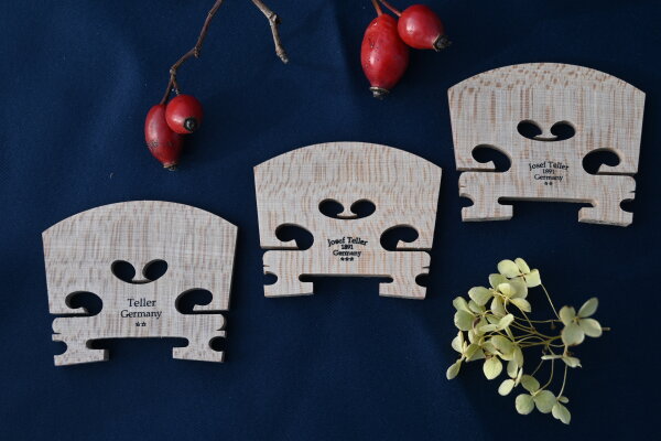 Bratschensteg Josef Teller***