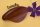 Pflaumen-Kinnhalter Violine, "Vermeer", Lindstedt-Serie
