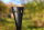 Ebenholz-Violin-Saitenhalter Ebenholz, franz&ouml;sisch