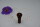 Buchs-Endknopf mit Buchs-Pin Elgandal Violine