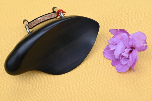 Vermeer", Lindstedt-Linie"